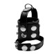 Erospace Cock & Ball Strap Wild Play C20 Black